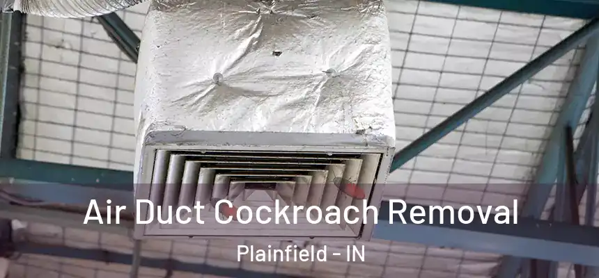 Air Duct Cockroach Removal Plainfield - IN