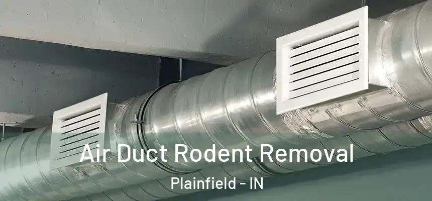  Air Duct Rodent Removal Plainfield - IN