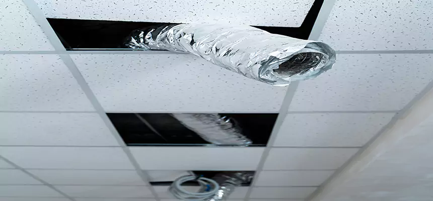 Our Air Duct Pet Hair Removal Services in Plainfield, IN