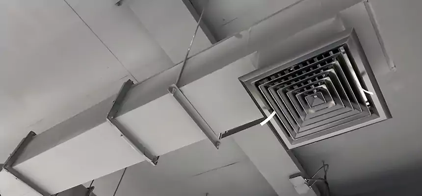 Our Rodent Droppings In Vents Services in Plainfield, IN