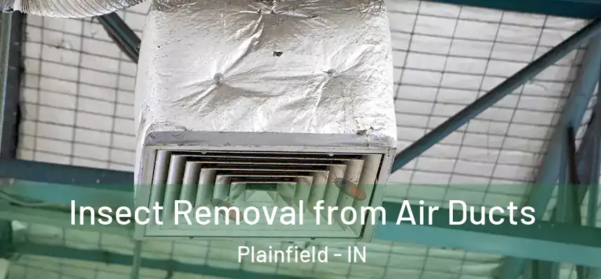 Insect Removal from Air Ducts Plainfield - IN