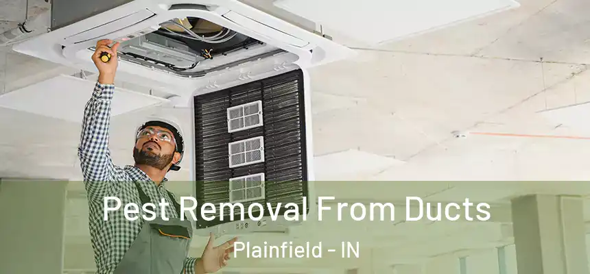 Pest Removal From Ducts Plainfield - IN
