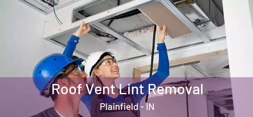 Roof Vent Lint Removal Plainfield - IN