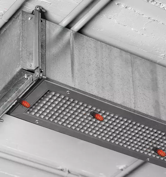 About Air Duct Cockroach Removal in Plainfield, IN