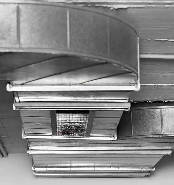 Professional Air Duct Pet Hair Removal in Plainfield, IN