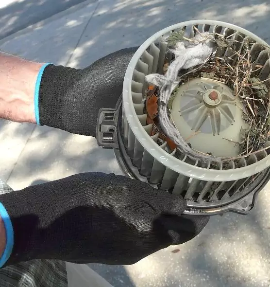 About Air Duct Rat Removal in Plainfield, IN