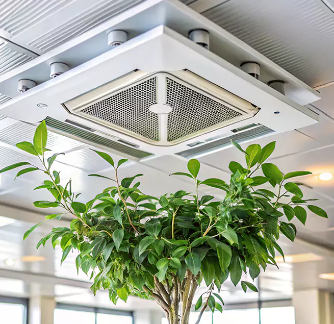 Why Homeowners & Businesses Trust Us in Plainfield, IN