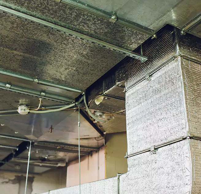 Why Homeowners & Businesses Trust Us in Plainfield, IN?